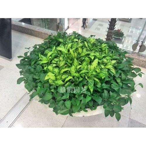 租賃案例
