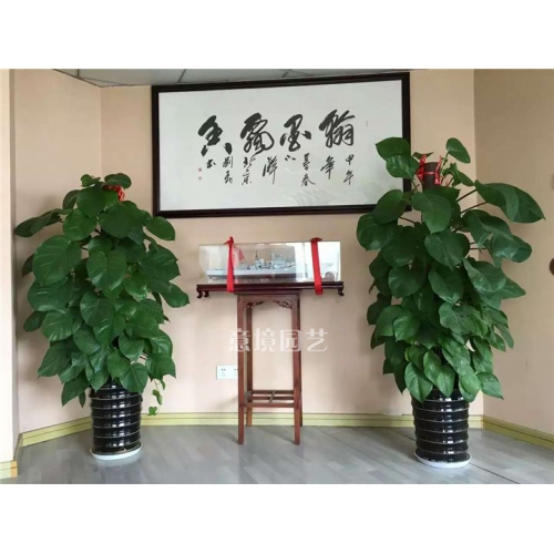 租賃案例