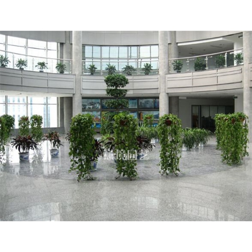 案例展示