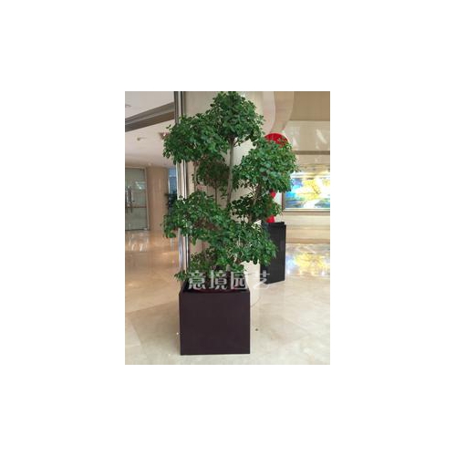 案例展示