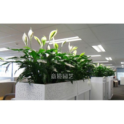 案例展示