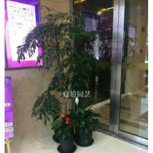 案例展示