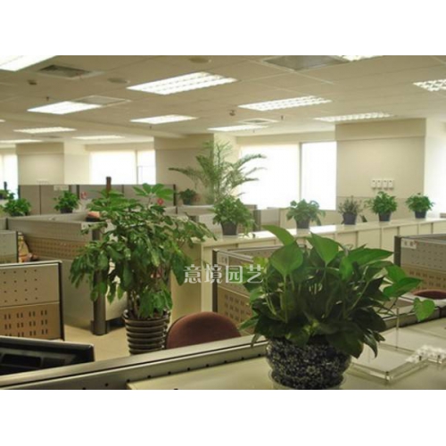 案例展示