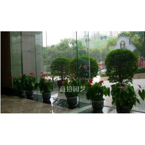 案例展示